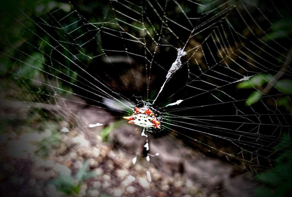 did god create man, or did man create&nbsp;god?